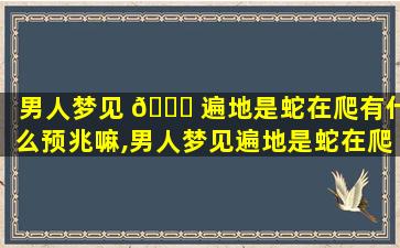男人梦见 🕊 遍地是蛇在爬有什么预兆嘛,男人梦见遍地是蛇在爬有 🌹 什么预兆嘛周公解梦